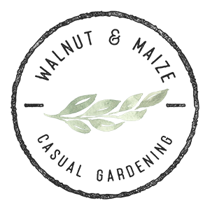 Walnut and Maize